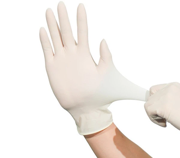 Latex Exam Gloves Powder Free